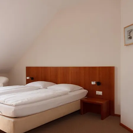 Altstadthotel Wetzel 酒店 3*